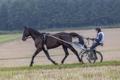 dieterhannes