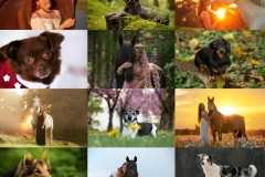 2020-12-31-Ueberblick