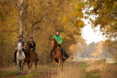 Buchholzer-Distanz-INTERNET